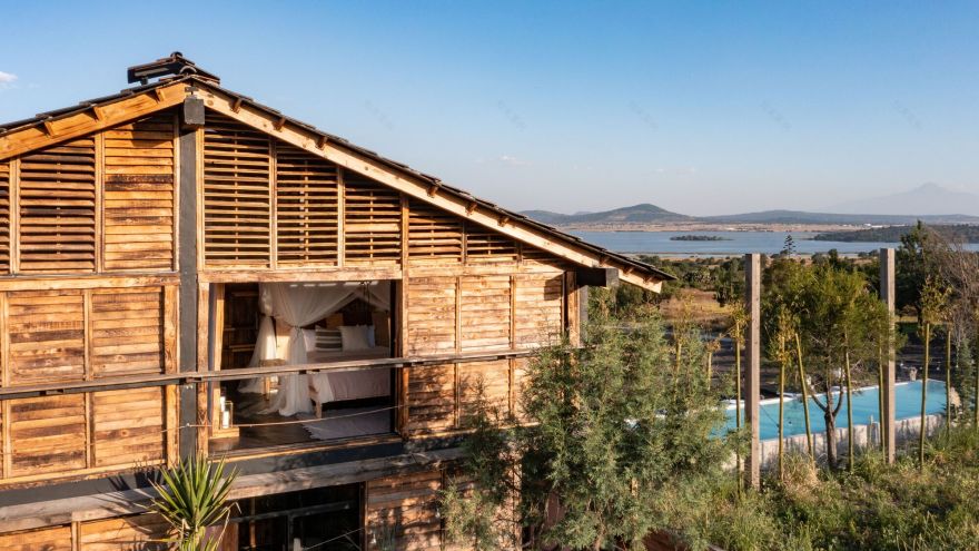 中村屋丨墨西哥丨Fausto Terán,Toro-37