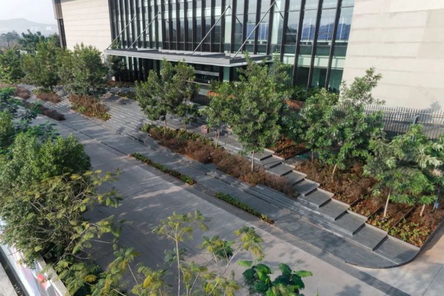 印度 Lupin Research 公园-19