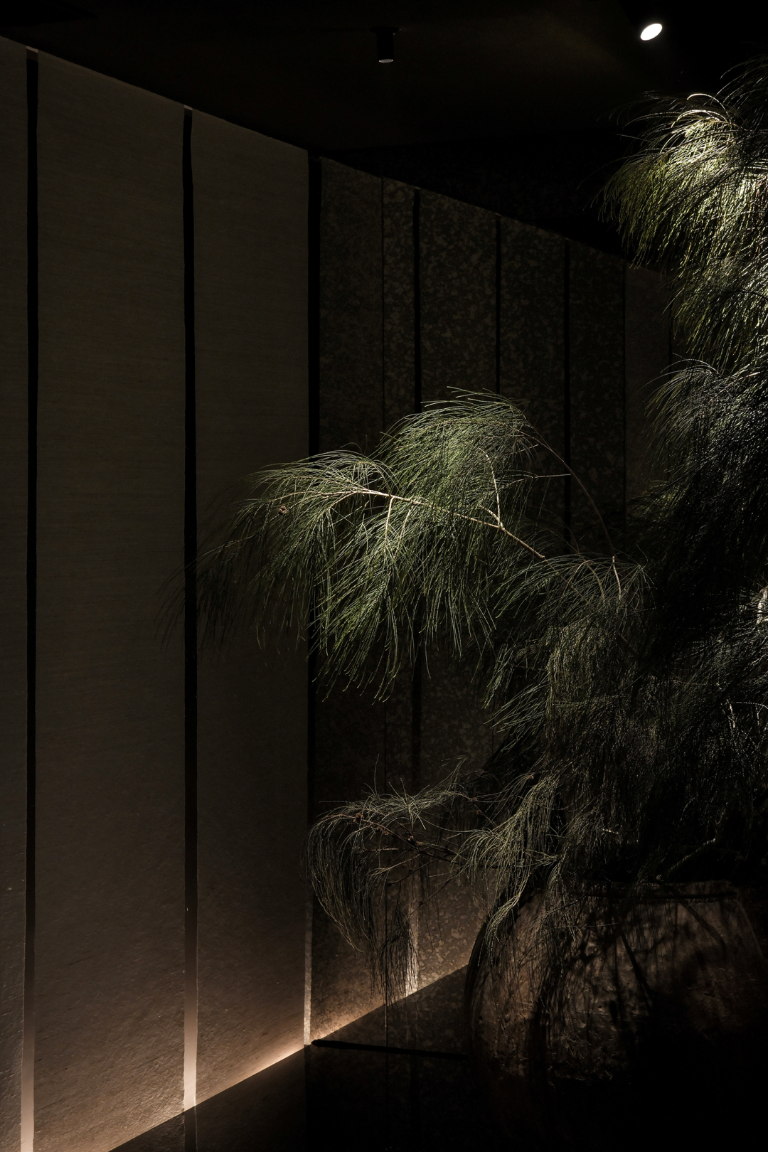 夕方茶廊丨中国厦门丨宽品设计顾问-122