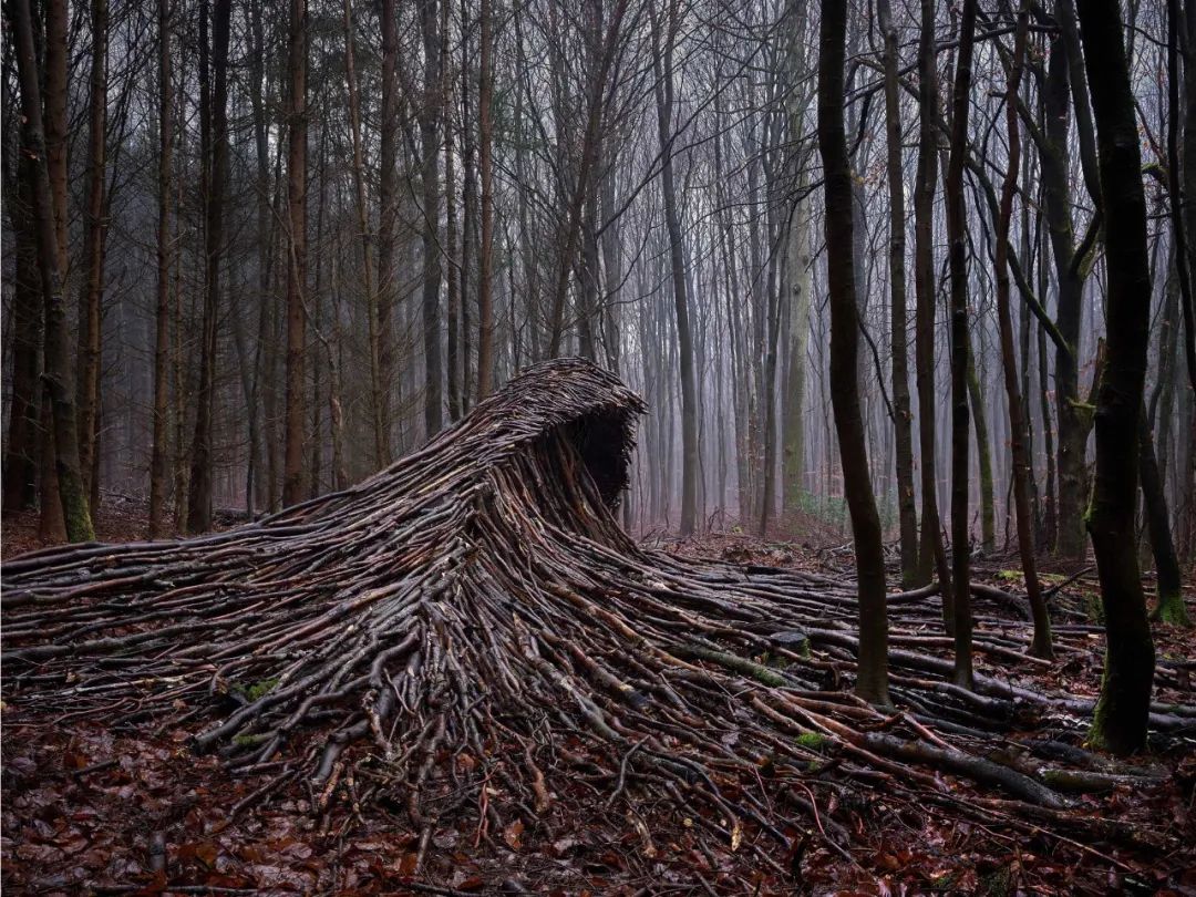 2021十大艺术装置丨多位艺术家-58