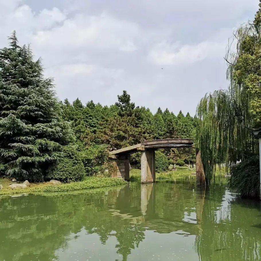苏州园林之旅 · 一座城市的人文寻古与学术探索丨中国苏州-46
