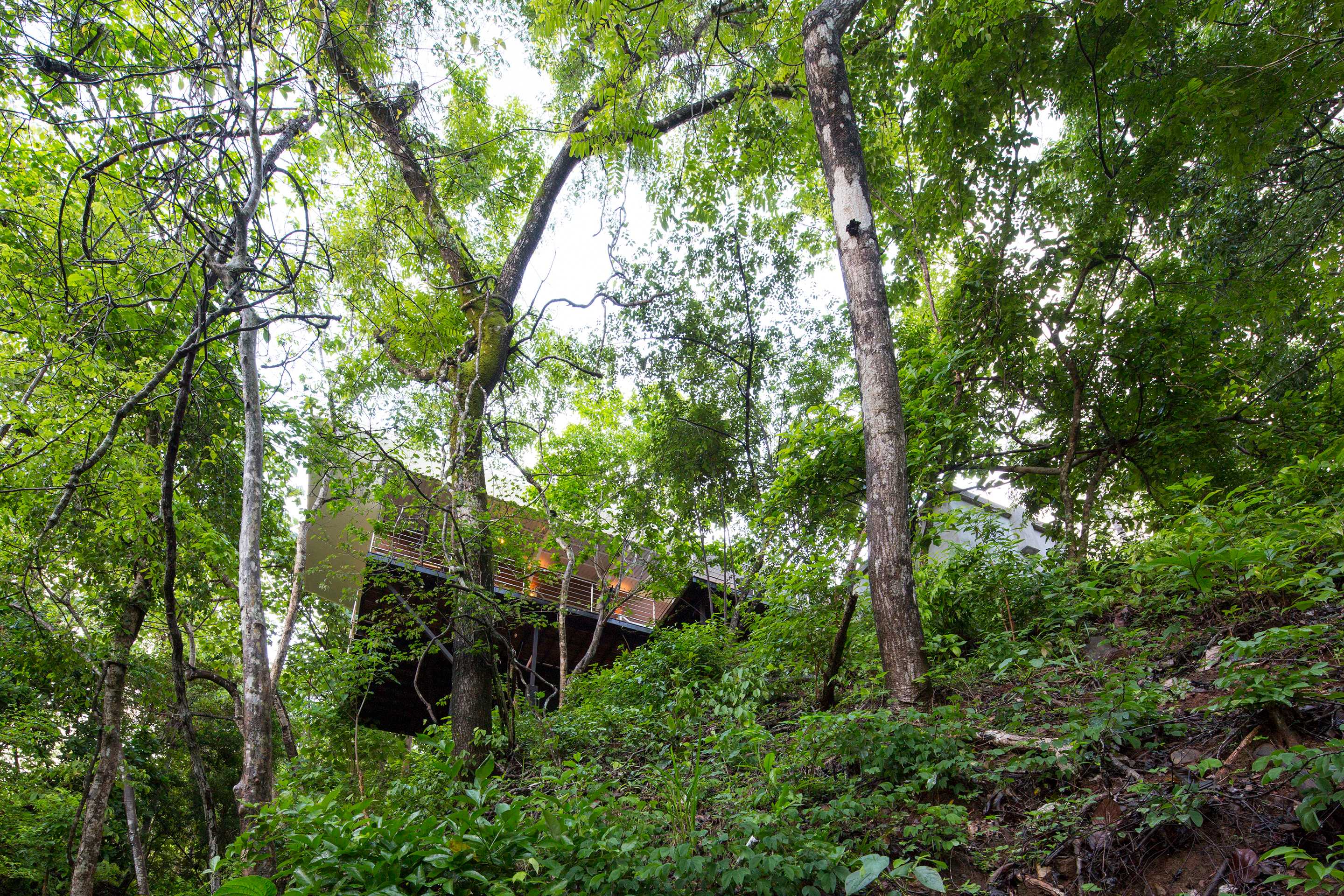 哥斯达黎加海鸥屋（Casa Gaviota）-26