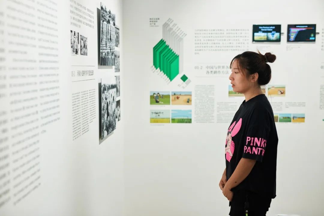 乡建之路 · 左靖与大南坡村的“高级气质”塑造丨中国河南丨左靖工作室-115