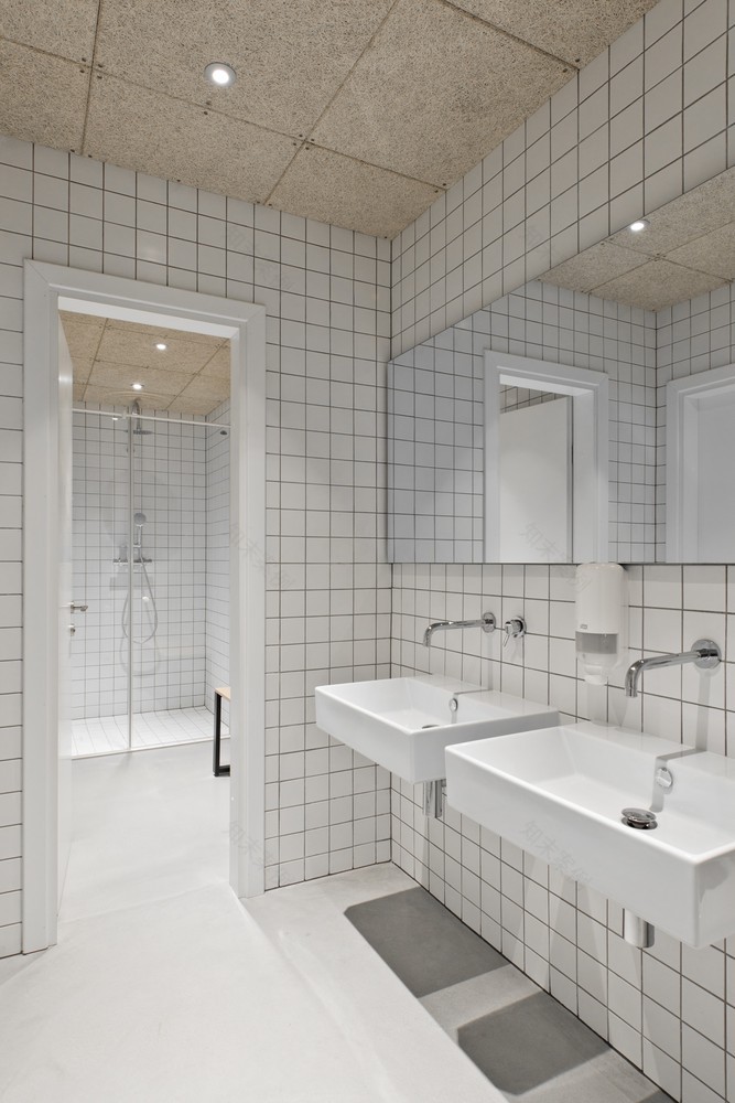 维尔纽斯 Treatwell 办公室,历史建筑中的现代美学空间-24