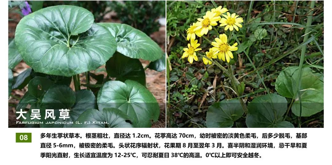 西安融创曲江印二楼屋顶花园丨中国西安丨魏玛设计集团-88