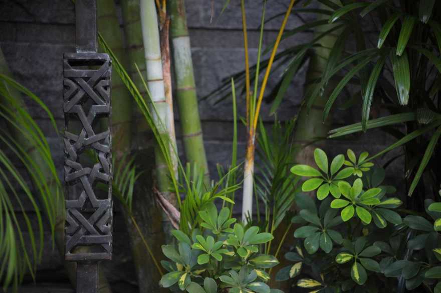 新加坡海洋生物主题私人住宅-25