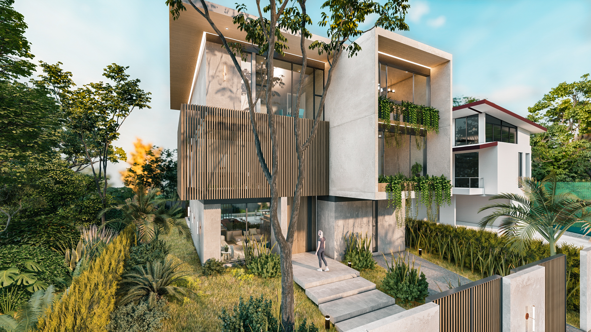 美丽棕榈 58丨哥斯达黎加-7