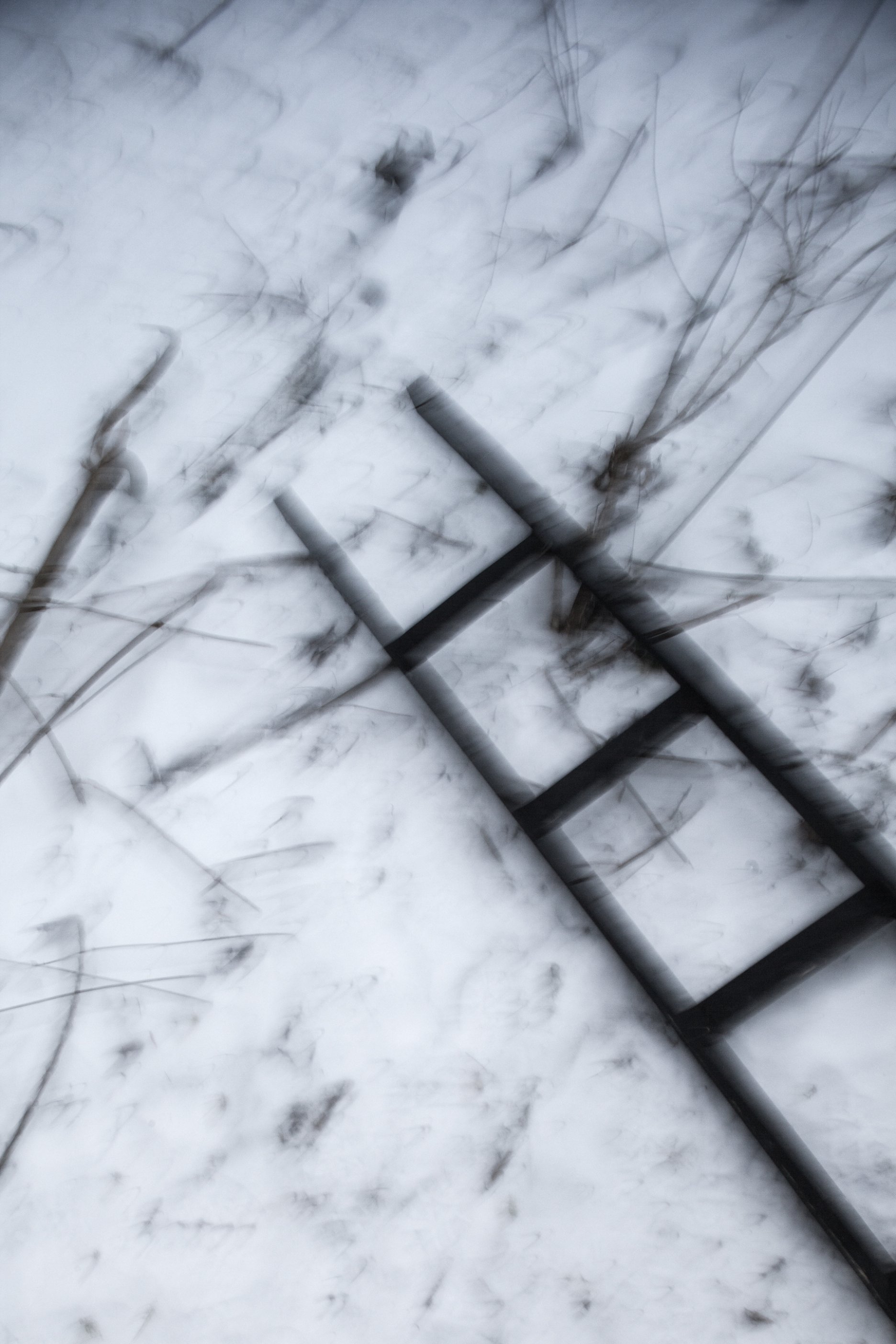 Čierny lietajúci dom, Pardubice | Archinfo.sk-56