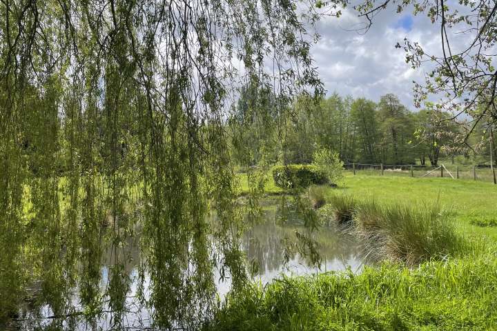 Les Yvelines Les Mesnuls-1