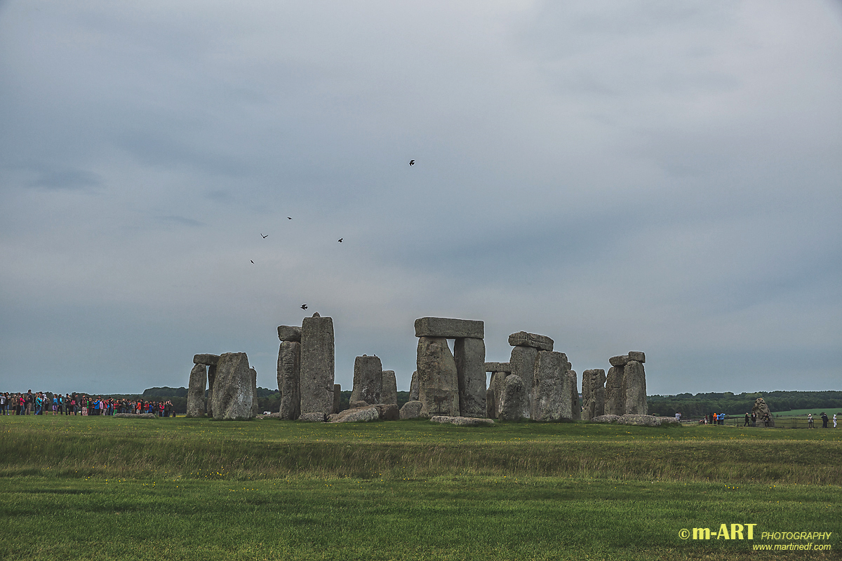 Stonehenge 游客中心——反重力设计的 8 米高顶棚-29