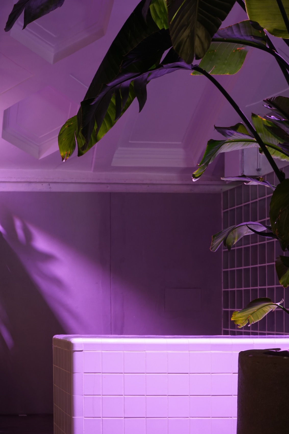 BALAGAN 美食广场丨俄罗斯圣彼得堡丨DA bureau-101