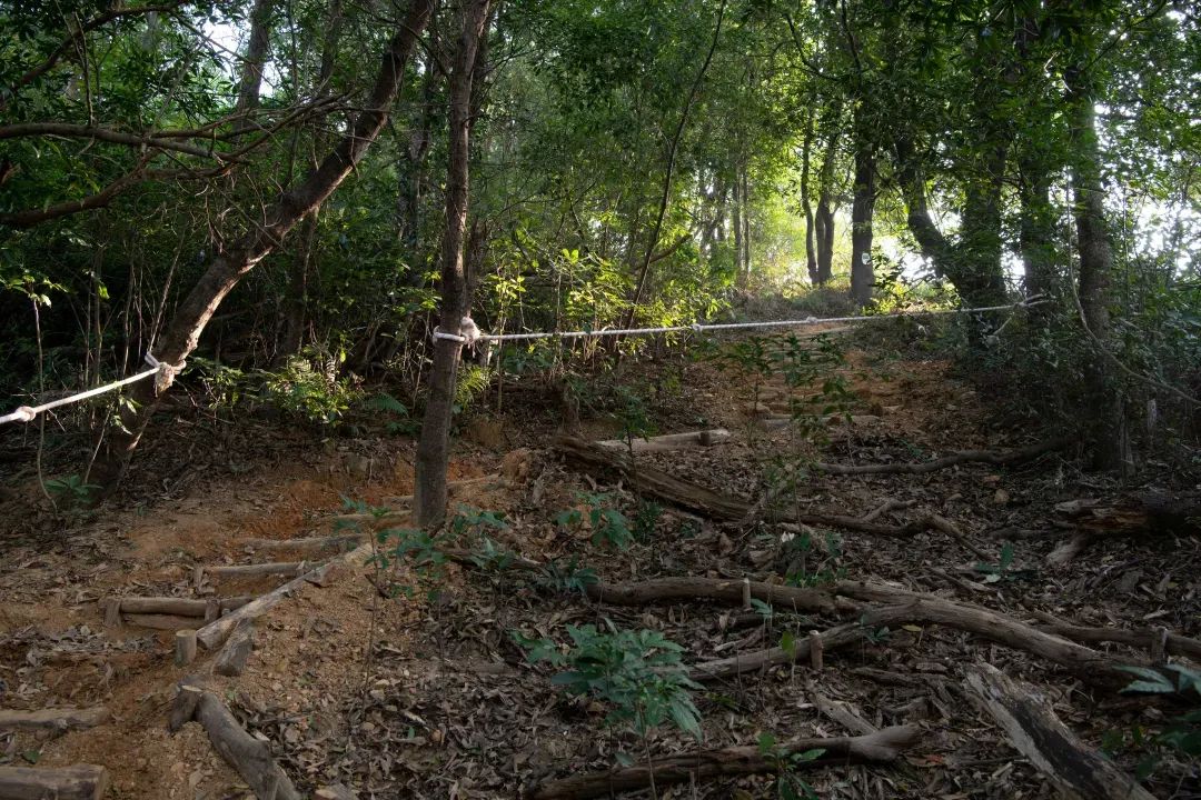 未名新作|山野有乾坤都市藏鲲鹏-深圳山海连城计划罗湖区东湖公园郊野径-莲塘口岸线-79