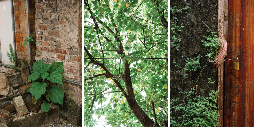 盐禾小院丨中国惠州丨Informal 异规设计-6