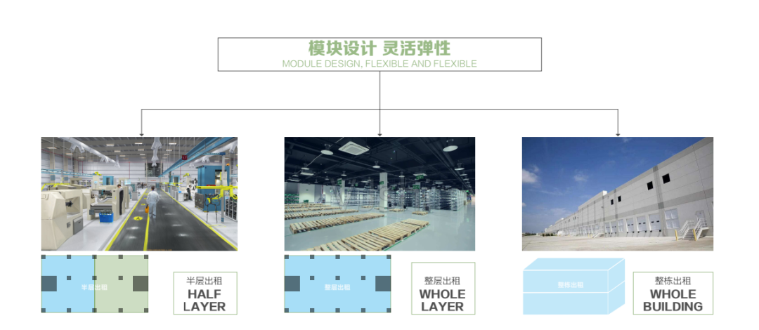 亚泰赋能阳春农业产业链升级：阳春冷链物流园筑就大湾区农产品流通新枢纽~-73