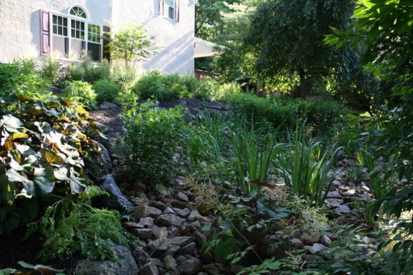 雨花园打造及土壤配置项目丨美国华盛顿-28