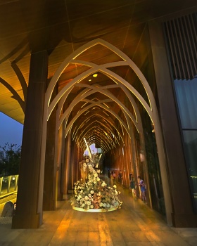 杭州桃花湖公园夜景灯光亮化丨中国杭州