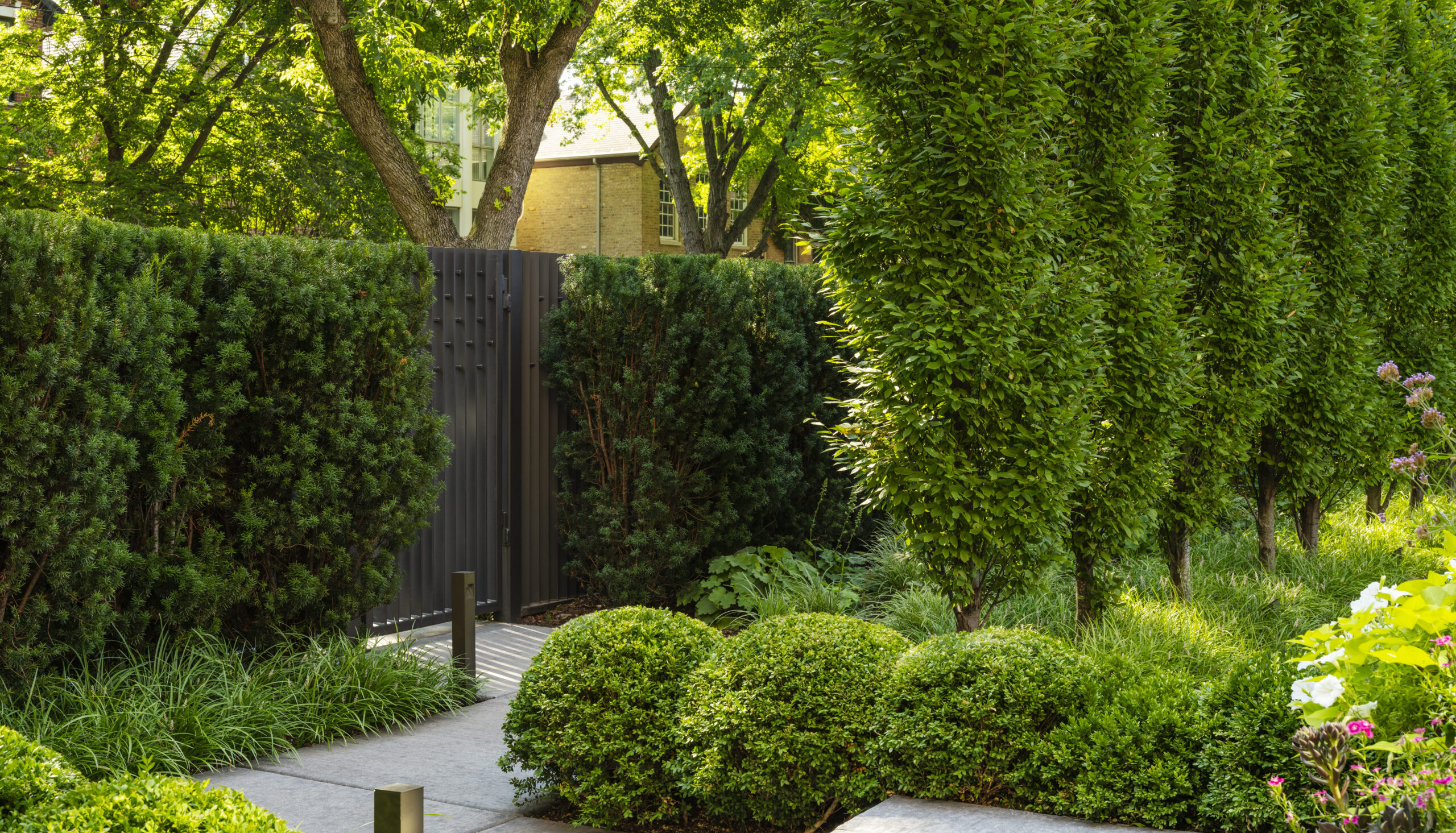 丨美国芝加哥-11