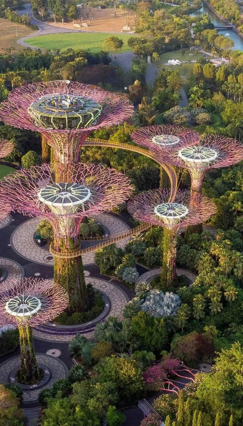 品鉴︱新加坡滨海湾花园超级树：自然与科技的共生奇观-9