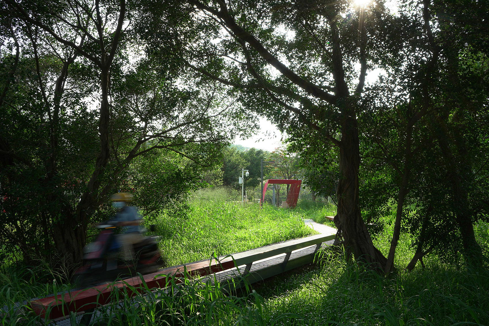 重焕生机的土地·深圳光明虹桥1958生态公园丨中国深圳丨自组空间-59