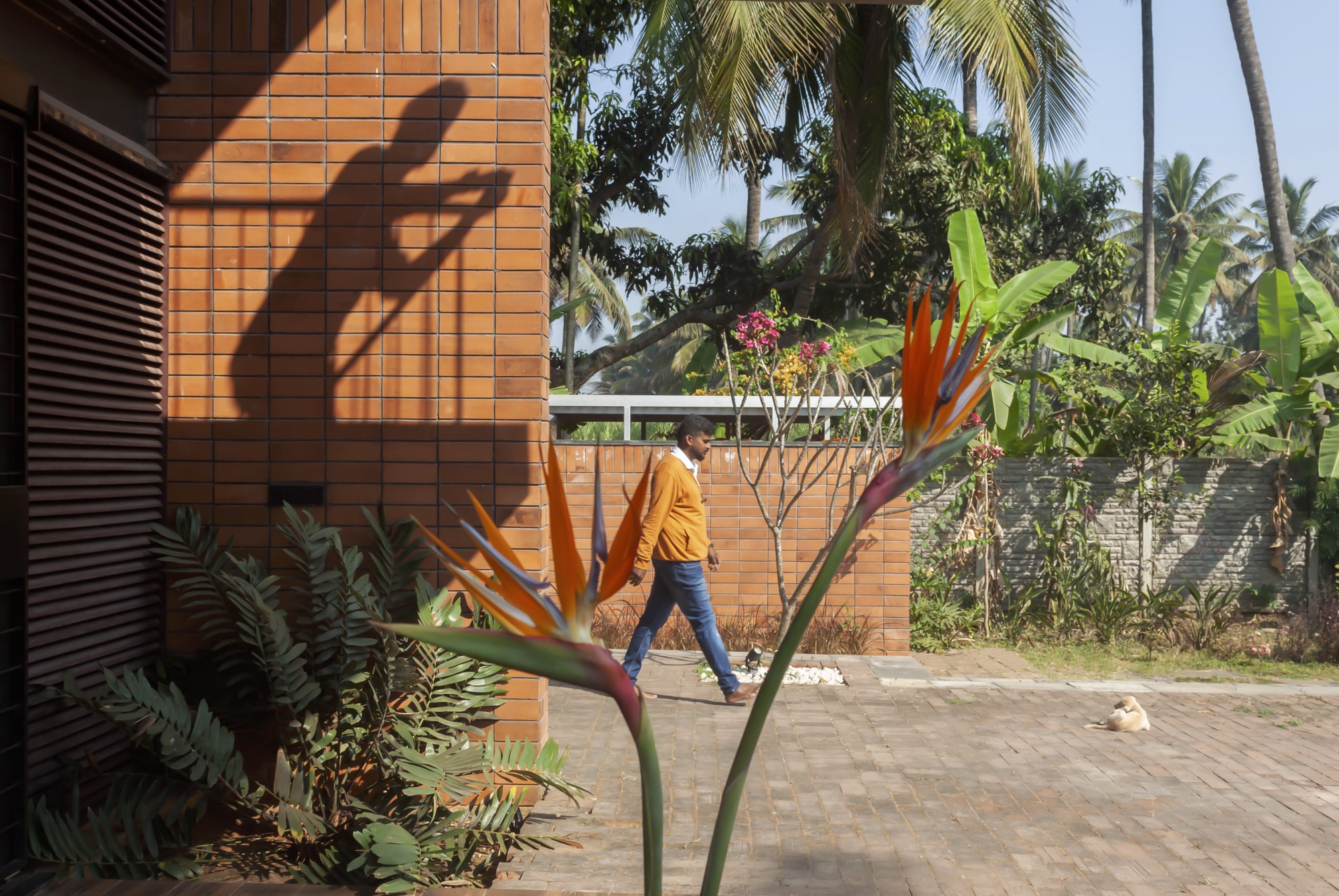 里弗斯通度假屋丨印度丨Collage Architecture Studio-32