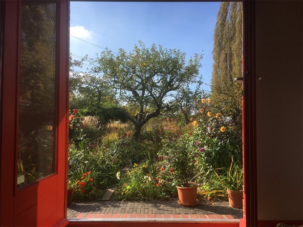 德普莱纳的小菜园丨德国柏林丨Büro Christian Meyer-13