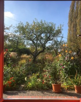 德普莱纳的小菜园丨德国柏林丨Büro Christian Meyer