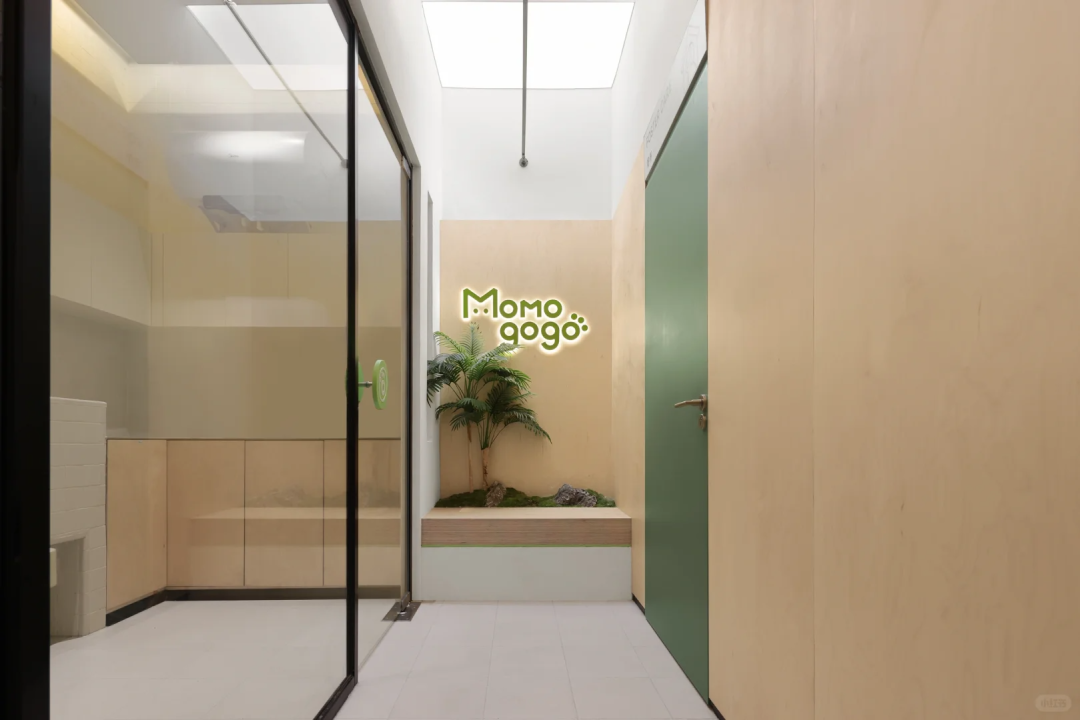 海南▶Momogogo人宠都市绿洲——毛孩子的友好综合空间-24