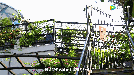 火遍魔都超700㎡网红花园,看过的人都被圈粉-50