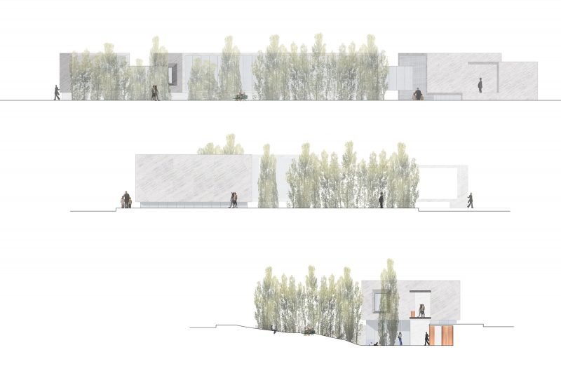 曼努埃尔·阿尔托拉吉雷图书馆-17