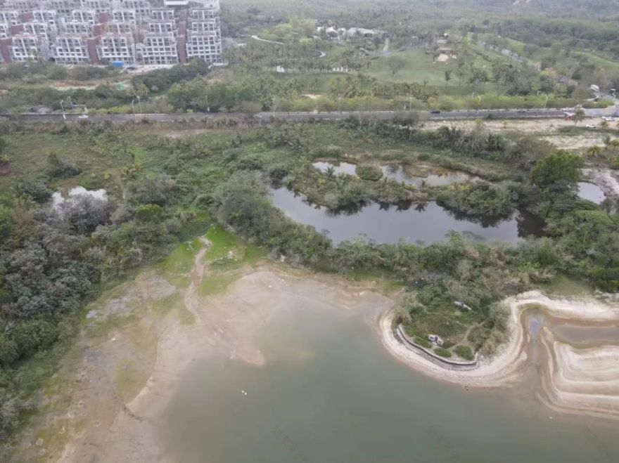 设计说|麓湾水集水鸟公园:「轻介入」的生态互动与环境对话-9