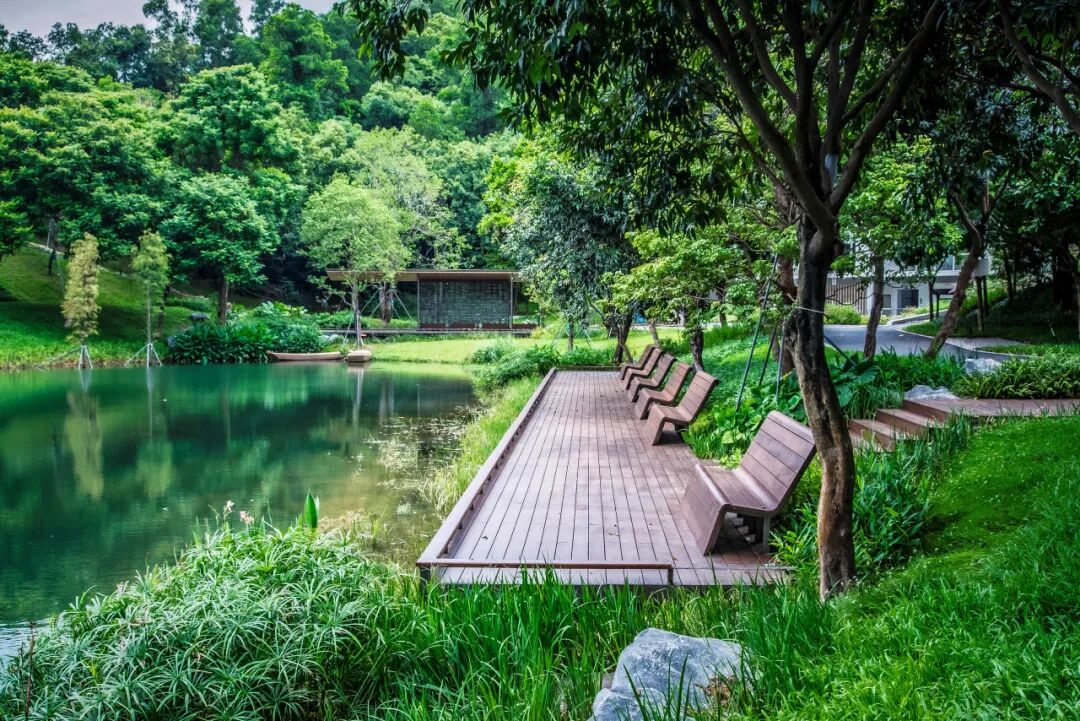 大运智慧公园之湖间|湖上一回首，青山卷白云-18