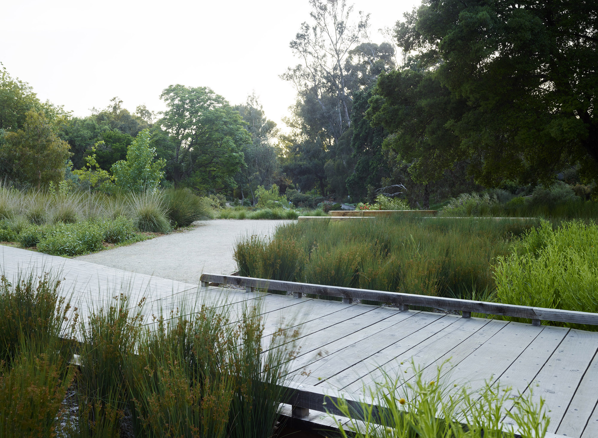 植物园大门的花园 arboretum gateway garden by Lutsko Associates Landscape-2