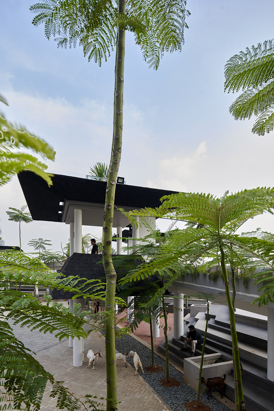 八芒星广场丨印度丨RAD+ar-29