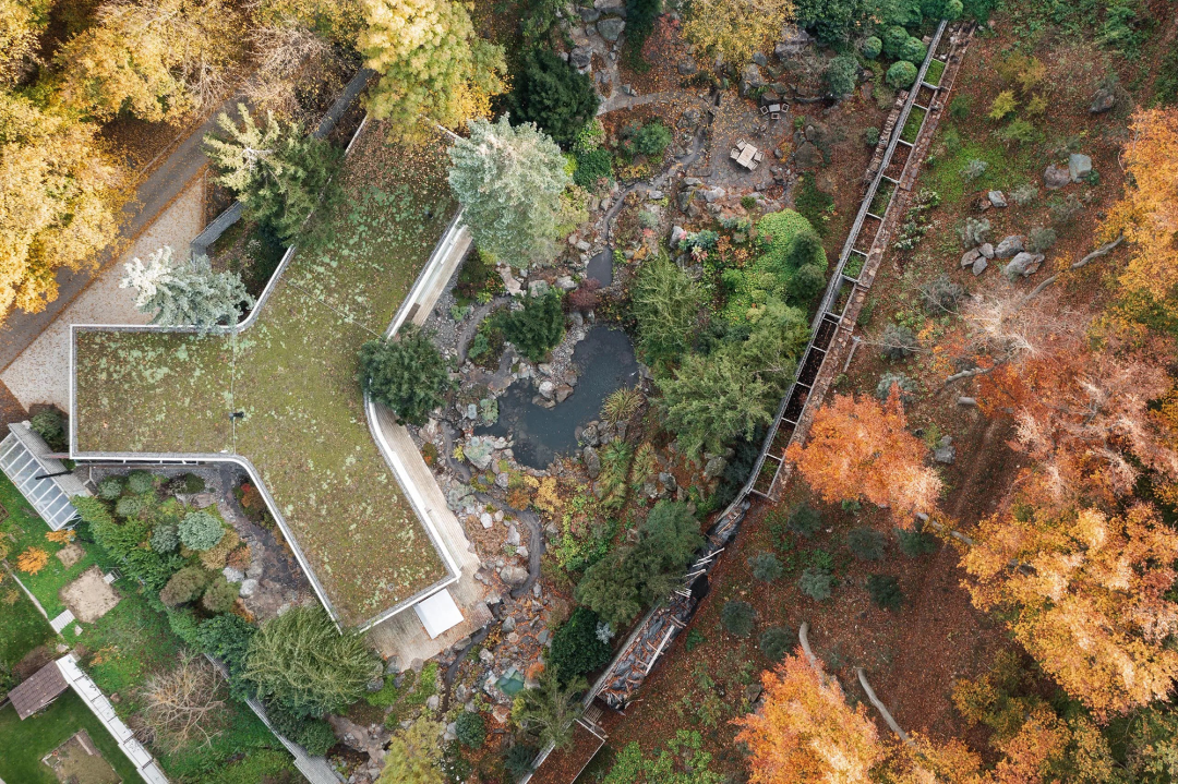 自然之间家庭住宅丨斯洛伐克丨Paulíny Hovorka Architects-10