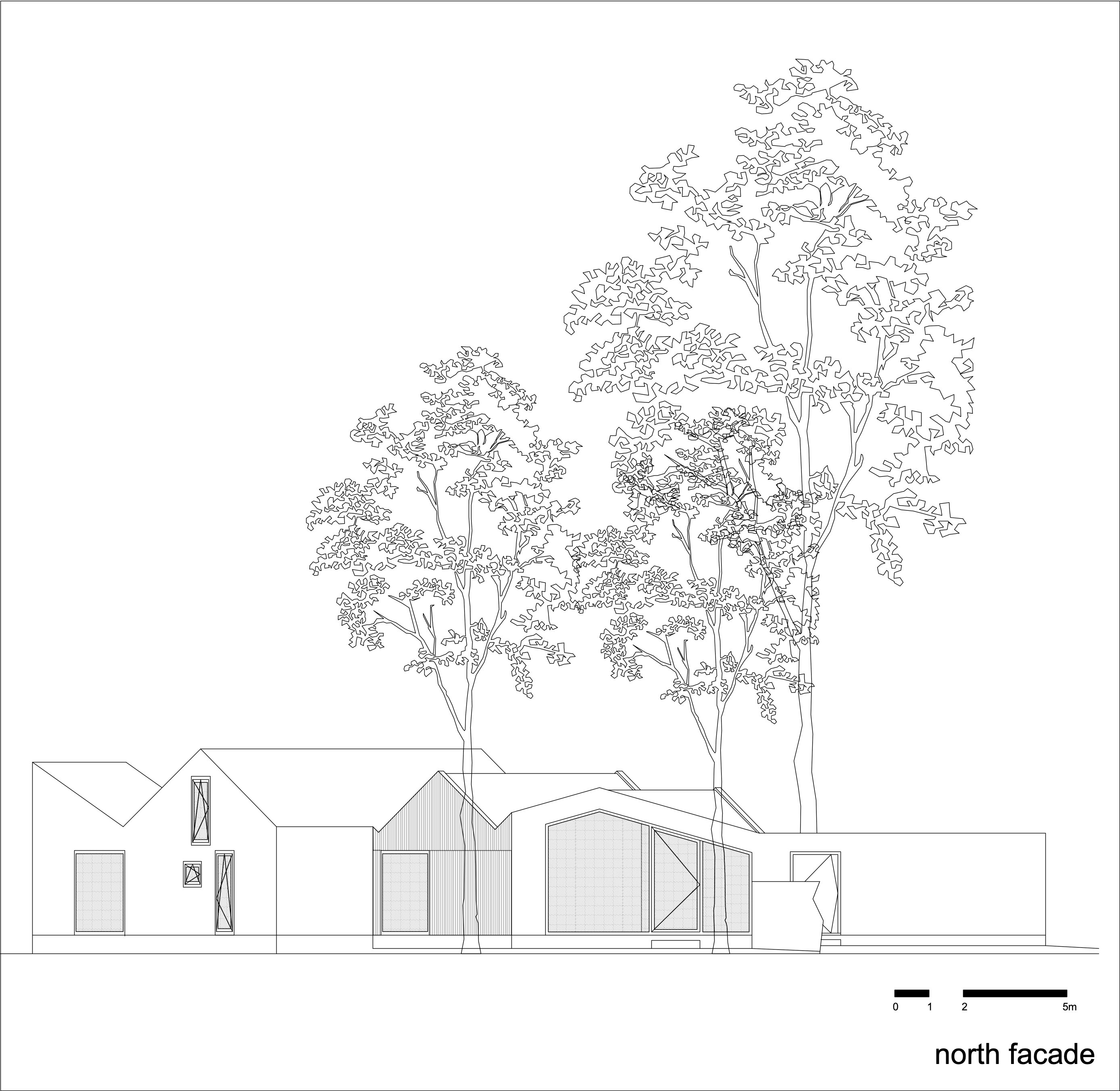 住在树林里丨比利时丨BASIL architecture-25