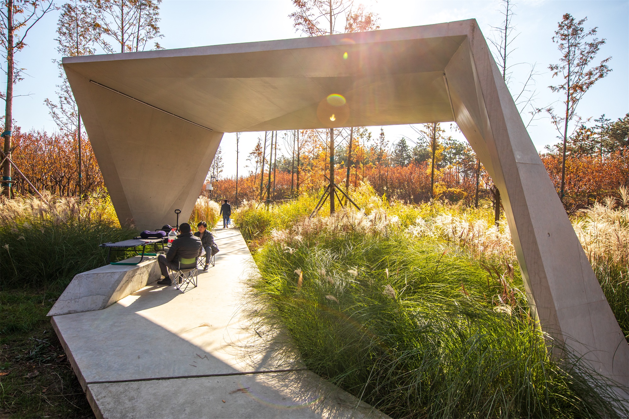 西安雁南公园（二期）丨中国西安丨土人设计（Turenscape）-21