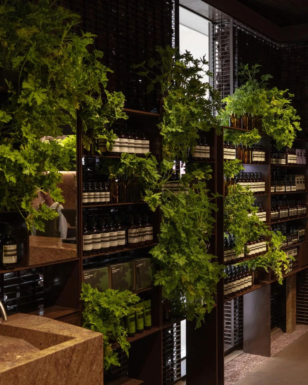 Aesop新加坡高岛屋“石笼”概念店设计-14