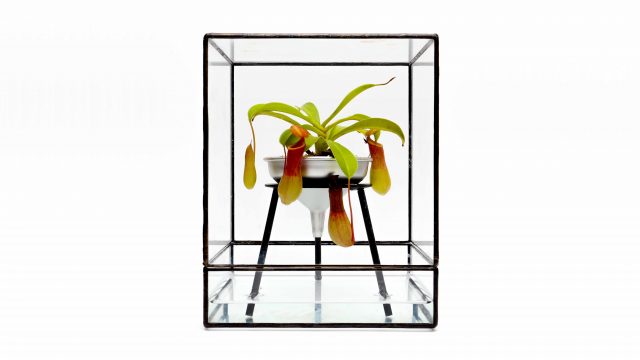 HYGRO STAND Ⅱ湿生植物专用种植架更新项目丨PLANTS DESIGN（代表:マックス（竹内一馬））-12