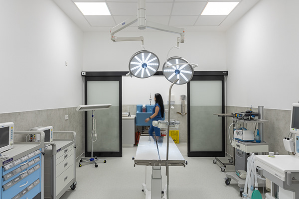 流动兽医丨罗马尼亚布加勒斯特丨Reflex Architecture-10