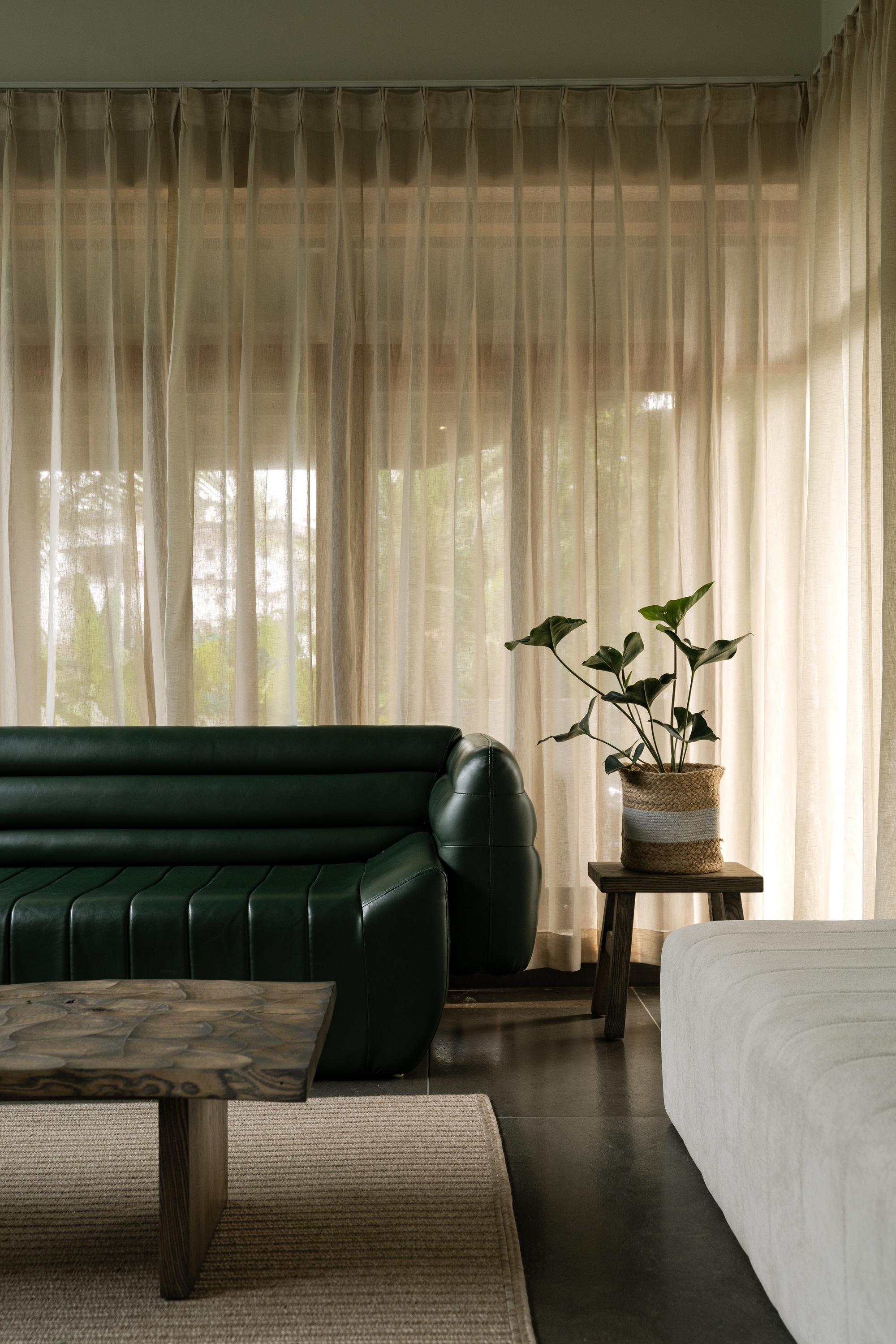 丨印度丨TROPICAL TONES-44