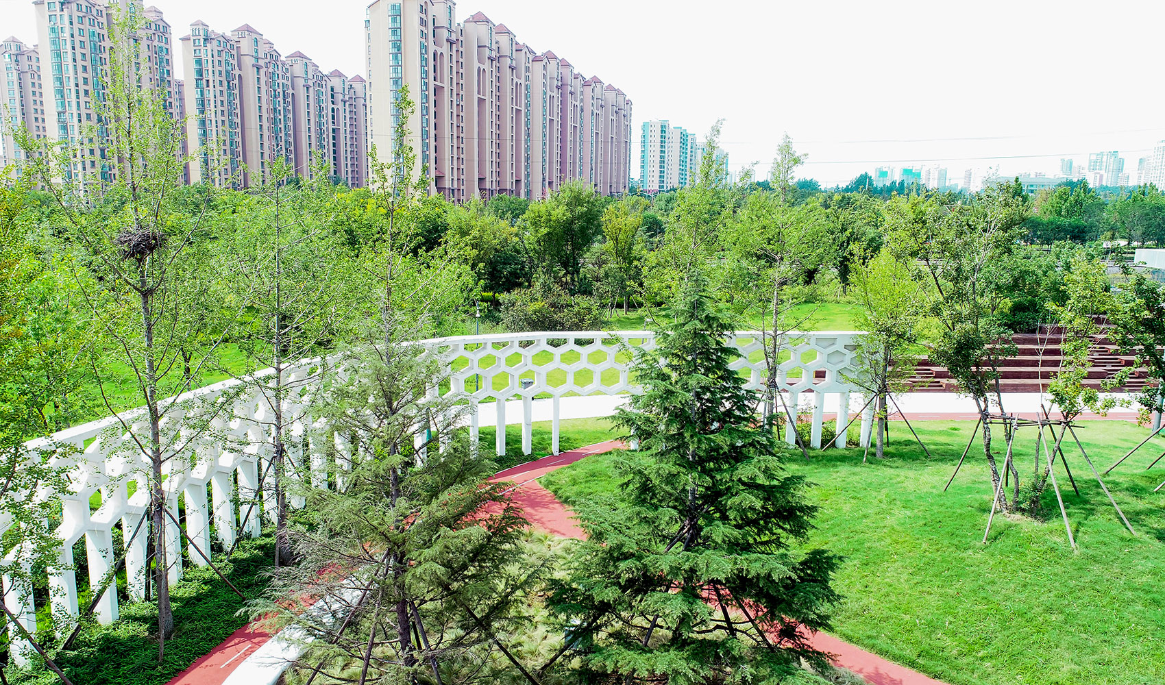 LOHAS Garden乐活园:一个长在公园里的社区能量场丨中国青岛丨LDG兰斯凯普-76