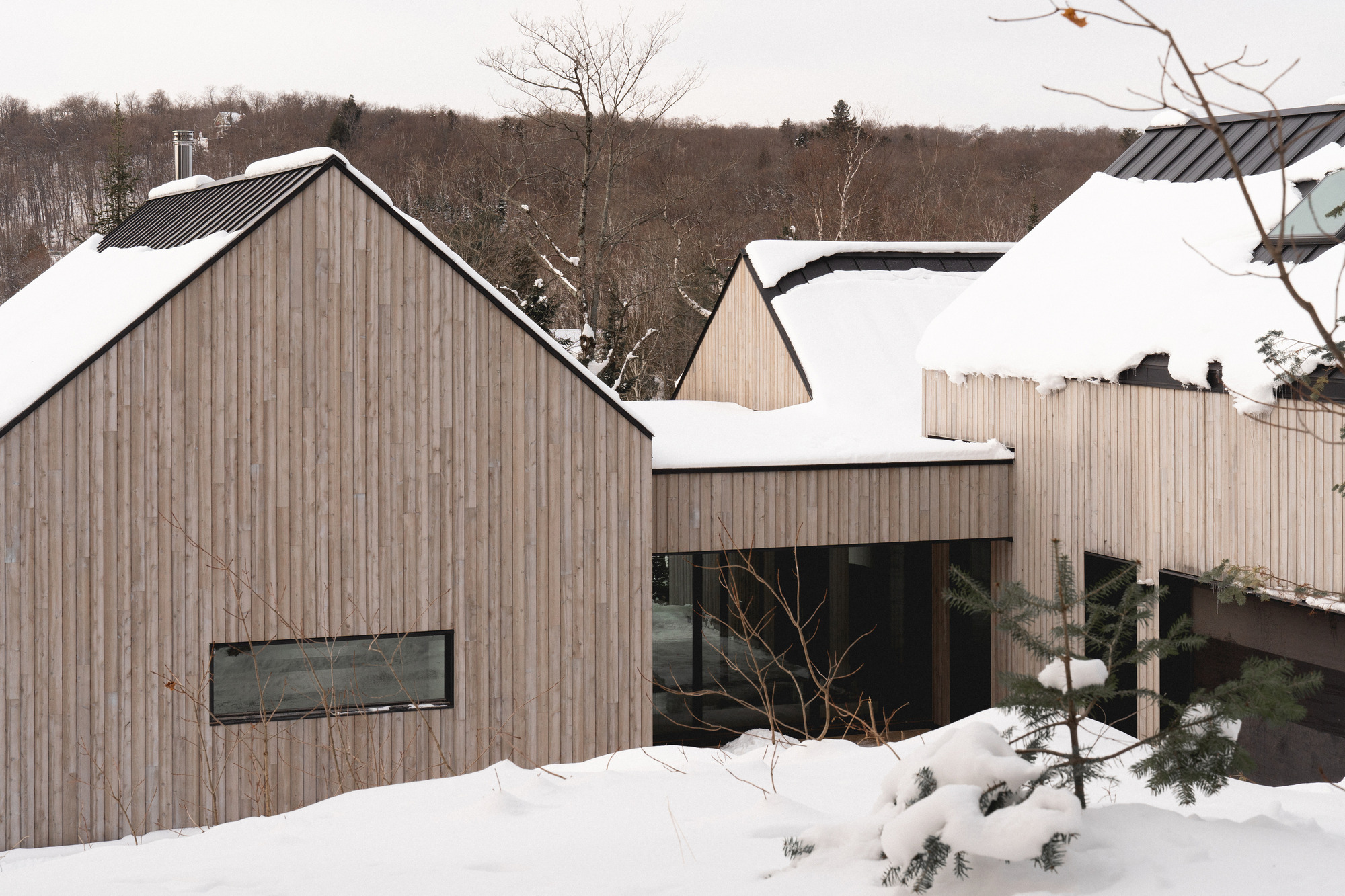 拉蒂尔斯之家丨加拿大丨Atelier BOOMTOWN-9