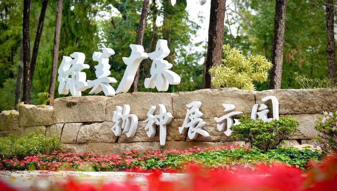 十一赏景别错过！华南国家植物园[绿美广东物种展示园]-47