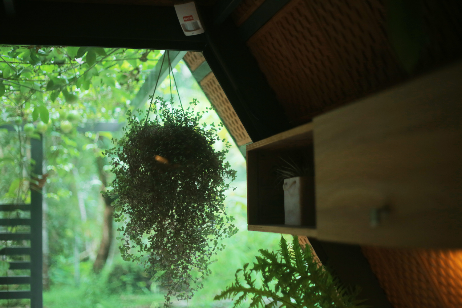 Architecture Studio  Attic Lab-37