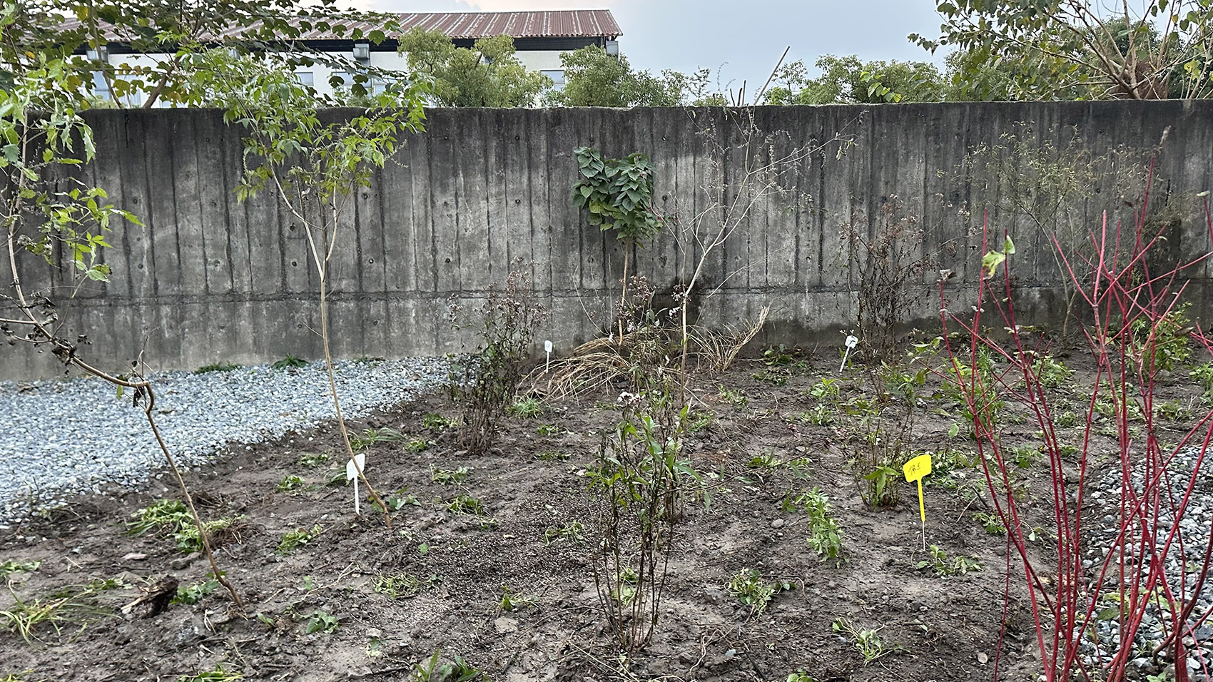 复园丨中国上海丨郭怡妦,孙田,或然景观,薛志坚,苏州市园林博物馆-110