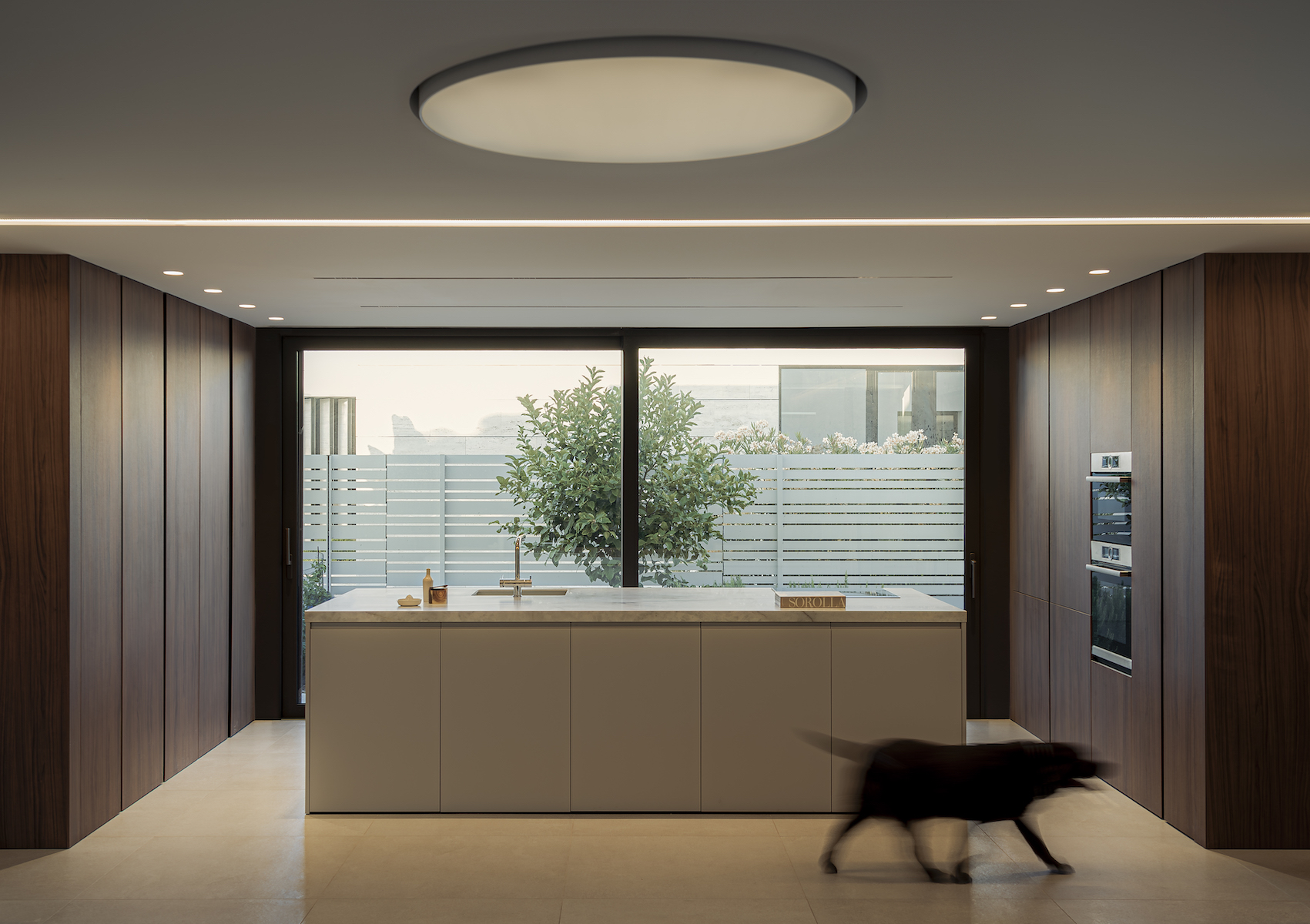 阿尔贾娜丨西班牙丨Chiralt Arquitectos Valencia-15