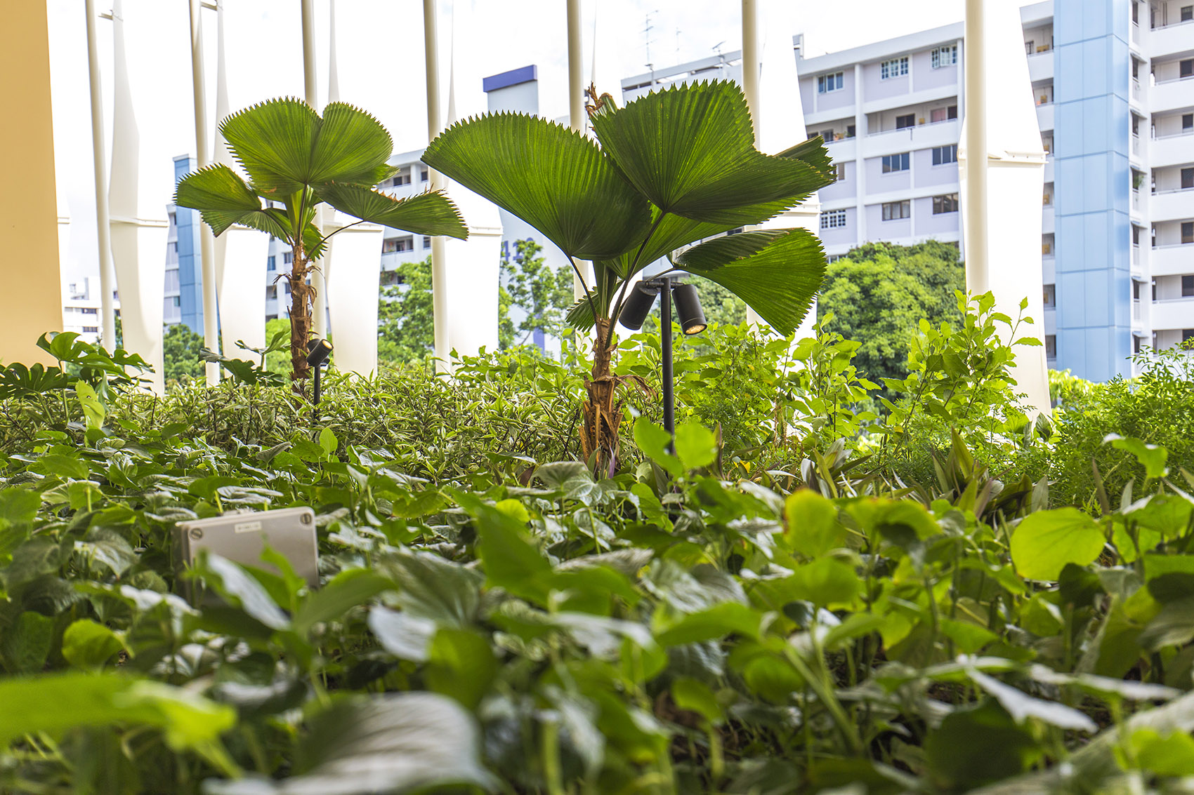 Heartbeat@Bedok大楼，新加坡 / ONG&ONG Pte Ltd-86