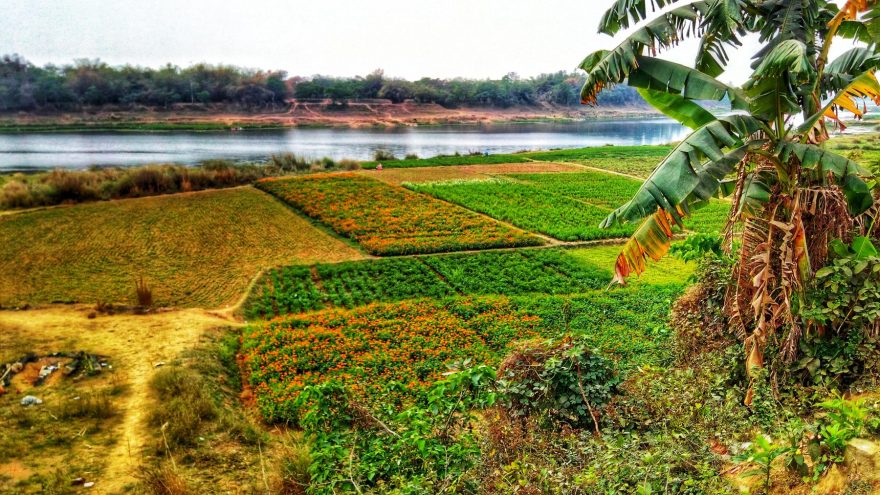 Pathra寺庙群修复与保护丨印度-21