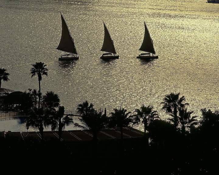 移动摄影丨埃及开罗-8