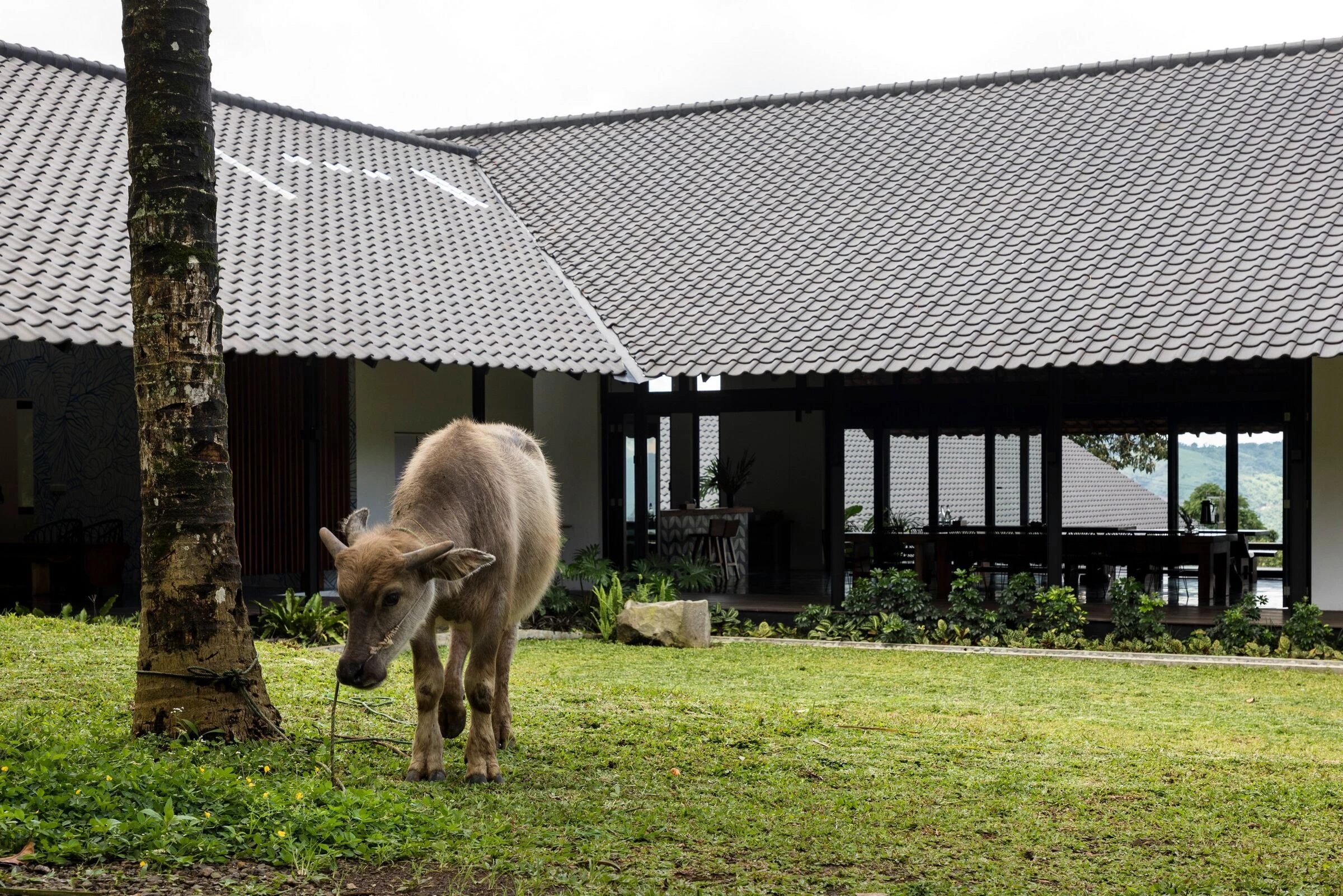 印尼苏卡森塔伊农场住宿-29